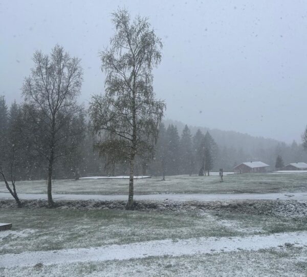 Schnee im April in Selnes