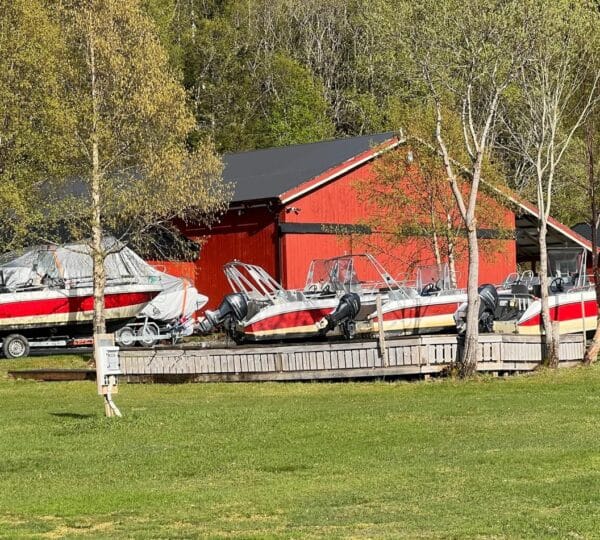 Erfolgreiche Angler bei Sonnenschein