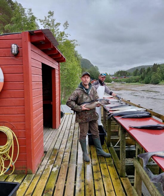 Zufriedener Angler mit Seelachs am Steg